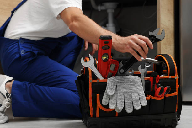 Best Clogged Drain Plumber  in Hawi, HI